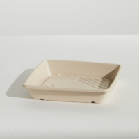 Clear Lid to suit Small Sugarcane Platter