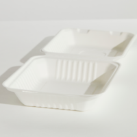 Sugarcane Hi Top Dinner Box - White