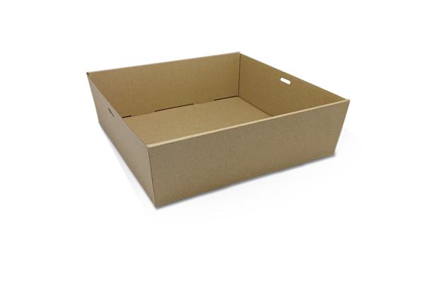 Square Catering Tray- Medium-100/ctn