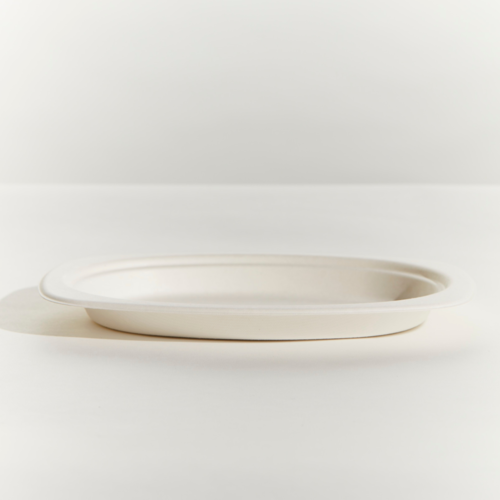 Sugarcane 7x9" Oval Plate - White