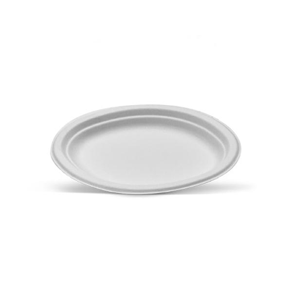Sugarcane Oval Plate Small 500pc/ctn