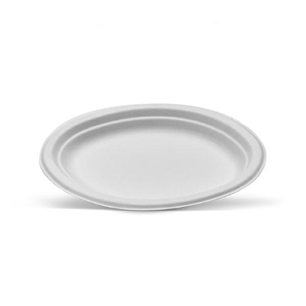Sugarcane Oval Plate Large 500pc/ctn
